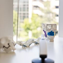 Maxillofacial Surgery Institute - Irvine