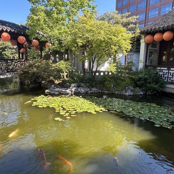 Lan Su Chinese Garden - Botanical Gardens Near Me - Portland, Oregon
