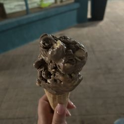The Fat Donkey Ice Cream & Fine Desserts