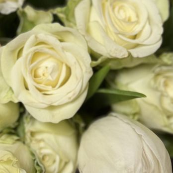 Williams Flower & Gift - Brown marks on the flowers. The tulip petal is wilting. - Florists Near Me - Silverdale, Washington