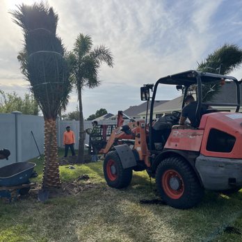 Orange Grove Nursery - Nurseries & Gardening Near Me - Weirsdale, Florida Orange Grove Nursery - Nurseries & Gardening Near Me - Weirsdale, Florida