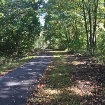 Allegheny River Trail - Wooded Allegheny River Trail - Hiking Near Me - Emlenton, Pennsylvania