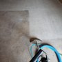 Photo of Steam Extreme Carpet Cleaning & Restoration