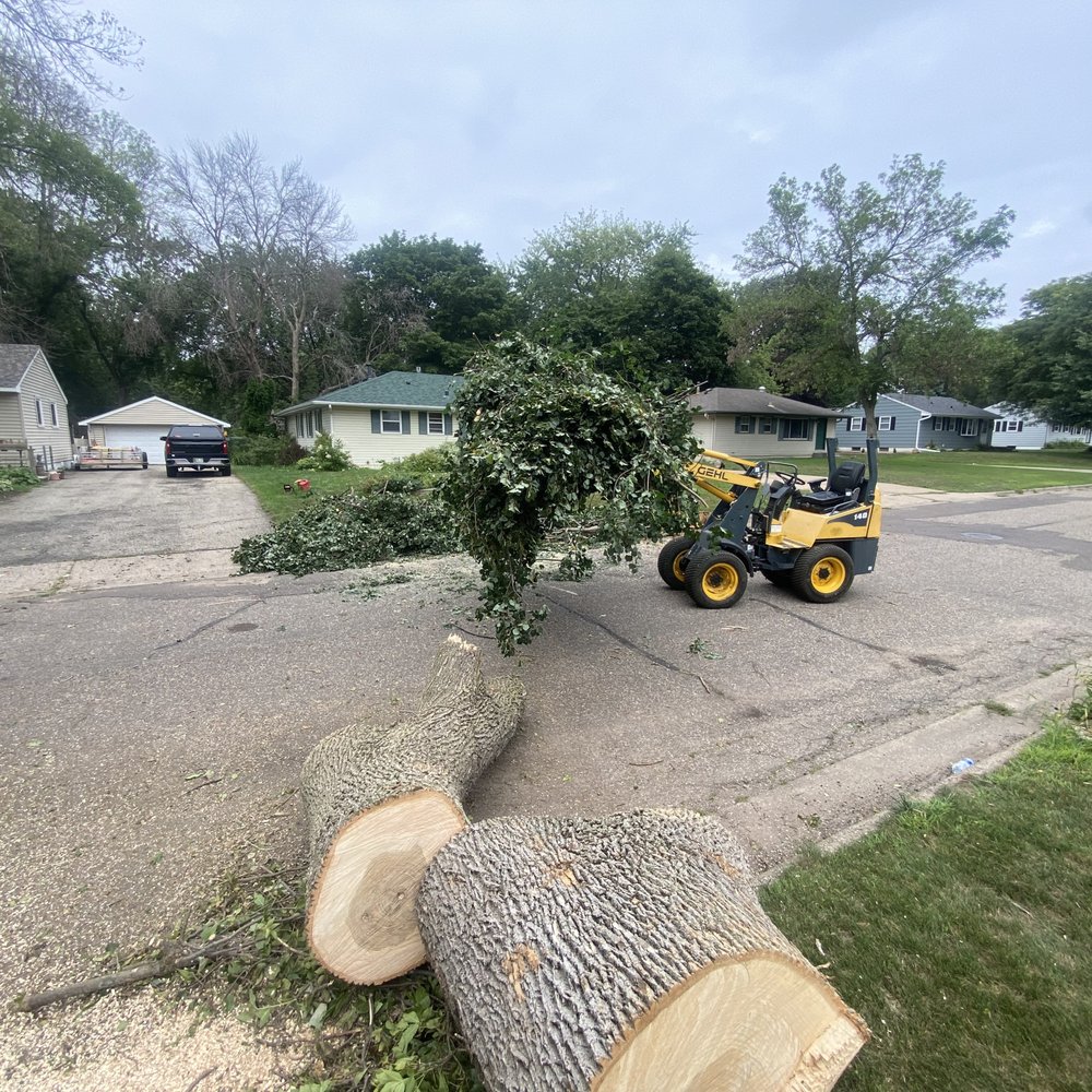 Top 10 Best Tree Services in Minneapolis, MN - October 2023 - Yelp