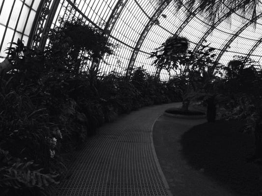 Royal Greenhouses of Laeken by null