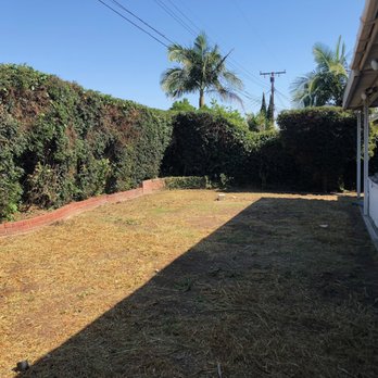 Paez Tree Service - After service - Tree Services Near Me - Anaheim, California