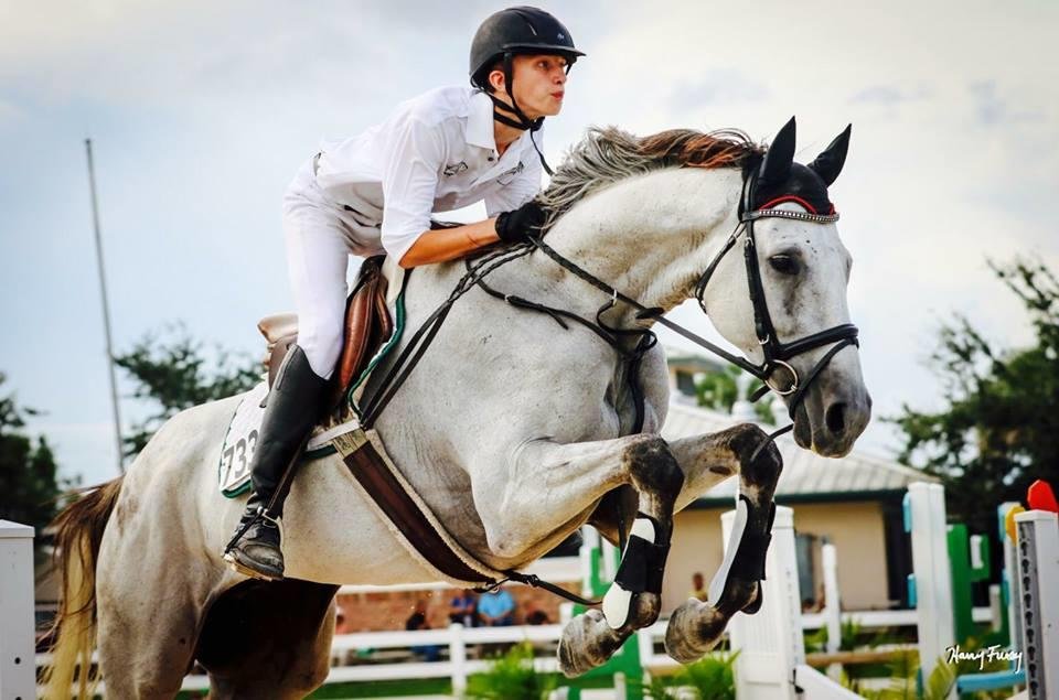 Florida Everglades Equestrian Center Logo