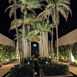 Flor de Sal - Entry way with palms, water feature and romantic "swing" seating