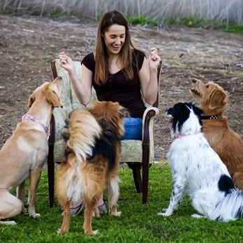Austin Dog Zone - Training for all breeds. - Pet Training Near Me