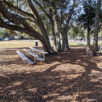 Ackerman Park - Ackerman Park - Parks Near Me - Charleston, South Carolina