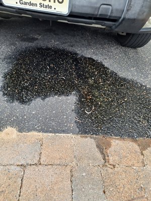 Top Techs Auto Repair