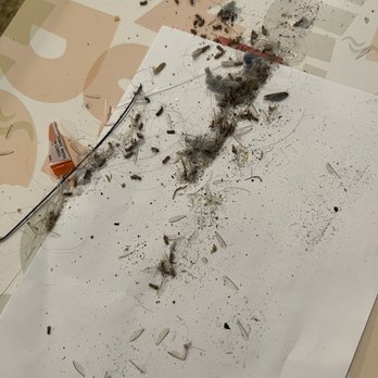 Anna Maria Island Accommodations - Dirt and dead bugs! - Vacation Rentals Near Me - Holmes Beach, Florida