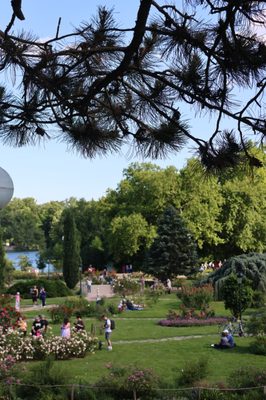 Parc de la Tête d'Or by null