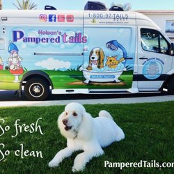 Pampered Tails West LA Mobile - Pacific Palisades, Mobile pet grooming