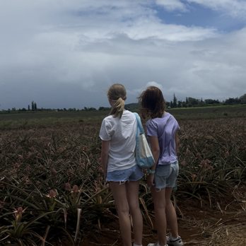 Maui Pineapple Tour - Checking out the fields! - Tours Near Me - Makawao, Hawaii Maui Pineapple Tour - Checking out the fields! - Tours Near Me - Makawao, Hawaii