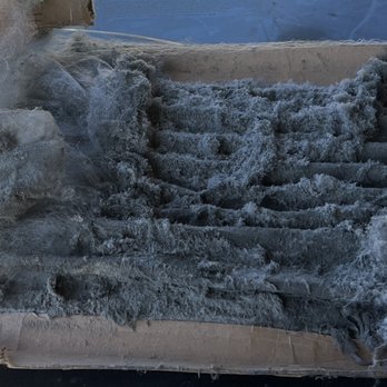 JP Heating and Air - Air filter was very dirty. This caused my heater to work insufficient. - Heating & Air Conditioning/HVAC Near Me JP Heating and Air - Air filter was very dirty. This caused my heater to work insufficient. - Heating & Air Conditioning/HVAC Near Me