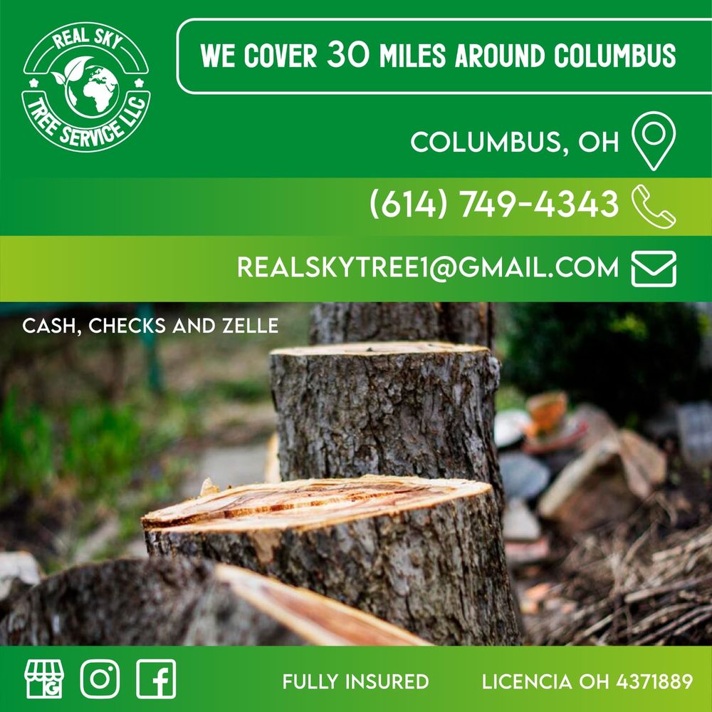 Real Sky Tree Services - tree service in Grove City, OH