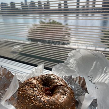 NY Bagels & Cafe - Bacon egg and cheese on WW everything bagel-very good! - Bagels Near Me - New York, New York NY Bagels & Cafe - Bacon egg and cheese on WW everything bagel-very good! - Bagels Near Me - New York, New York