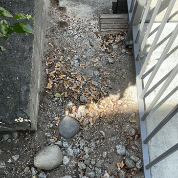 River Walk Apartment - The mess at riverwalk - Apartments Near Me - Campbell, California River Walk Apartment - The mess at riverwalk - Apartments Near Me - Campbell, California