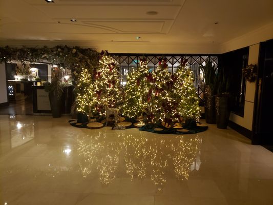 Conrad Dublin by null