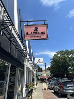 Blackbird Doughnuts Newton Centre by null