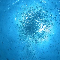 6 Paq Scuba - Bubbles Galore!