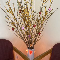 Fairgrove Dental Center