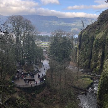 Wildwood Adventures - Multnomah View - Tours Near Me Wildwood Adventures - Multnomah View - Tours Near Me