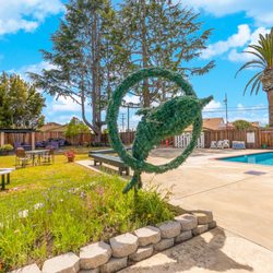 Treeview Swim Club