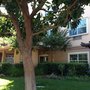 Photo of Sunrise of Sunnyvale