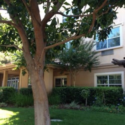Sunrise of Sunnyvale