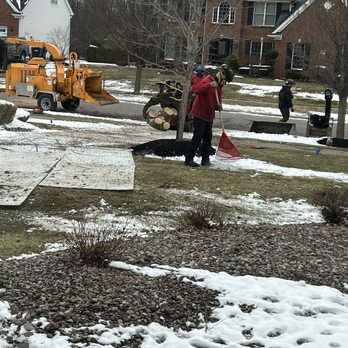 Woodchuck Tree Service - Tree Services Near Me - Grand Island, New York Woodchuck Tree Service - Tree Services Near Me - Grand Island, New York