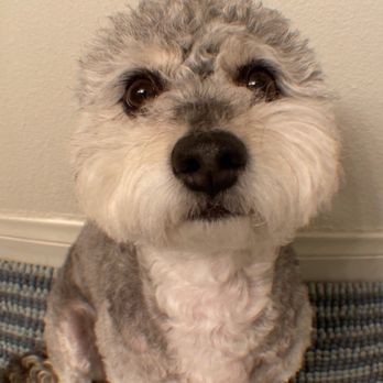 SAN GABRIEL ANIMAL HOSPITAL - Updated May 2024 - 105 Photos & 355