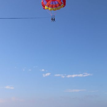 Island Water Charters - Flying over sea lions - Boating Near Me - Avalon, California