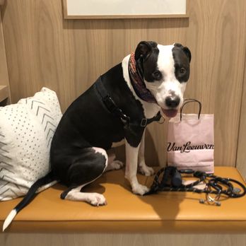 Bond Vet - Upper East Side at 62nd Street - Veterinarians Near Me - Manhattan, New York