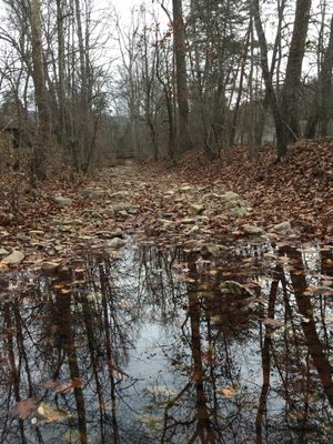 Mountain Star Therapy