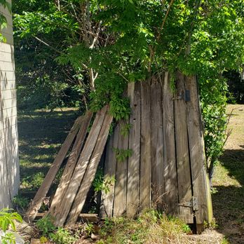 Estate Services - a wooden structure with a tree growing out of it - Handyman Near Me Estate Services - a wooden structure with a tree growing out of it - Handyman Near Me
