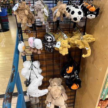 Dancing Bear Toys - jelly cat - Toy Stores Near Me - Asheville, North Carolina Dancing Bear Toys - jelly cat - Toy Stores Near Me - Asheville, North Carolina