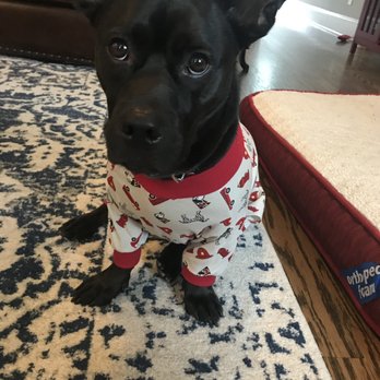 Suburban Veterinary Clinic - Veterinarians Near Me - Kennesaw, Georgia