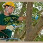 Photo of D & D Tree Services