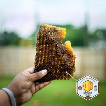 DETROIT HIVES - Updated December 2025 - 15 Photos - 9336 E Warren