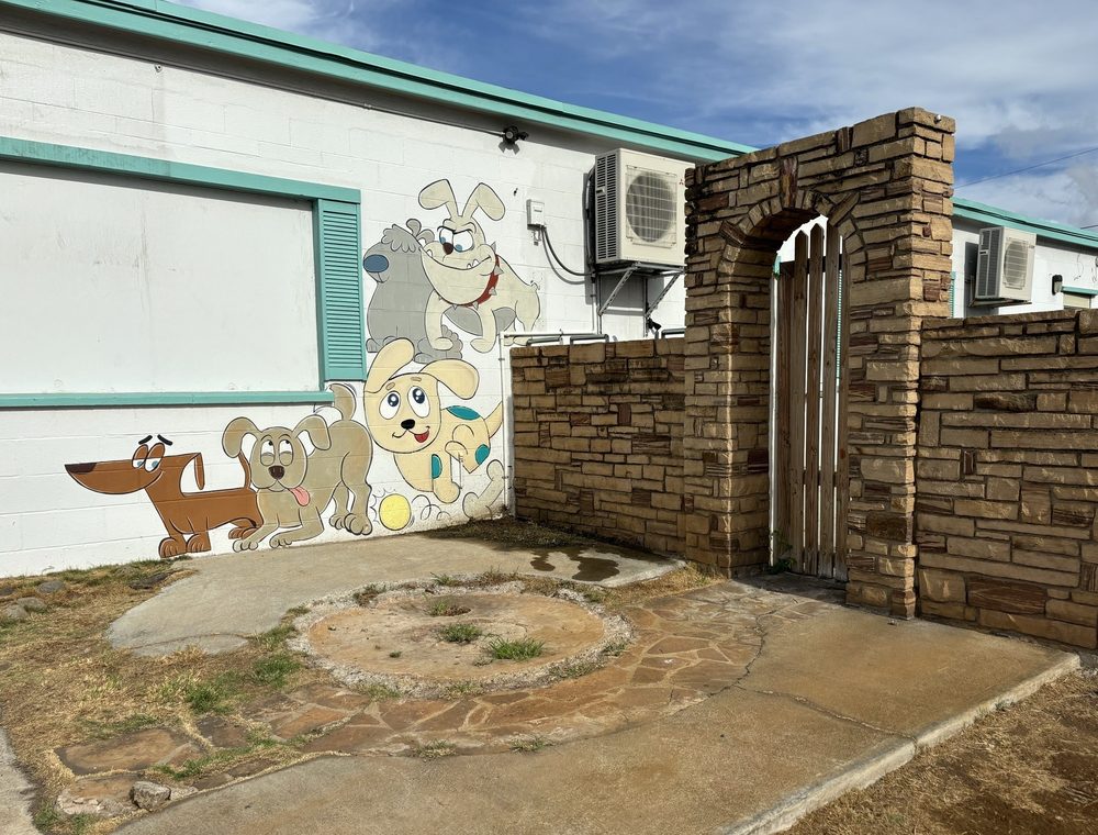 Furever Friends Play and Stay - pet boarding facility in Honolulu, HI