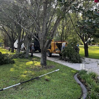 Tree Work By Mitch Drake & Sons - Tree Services Near Me Tree Work By Mitch Drake & Sons - Tree Services Near Me
