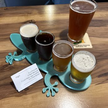 Naked Iguana Brewery - Flight - Beer Bar Near Me - Galveston, Texas