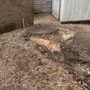 Photo of Stump Ripper Landscaping