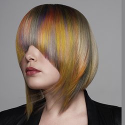 Renaissance Salon & Estetica - 2017 Goldwell Color Zoom Canadian Gold Winner by Mary Armstrong.