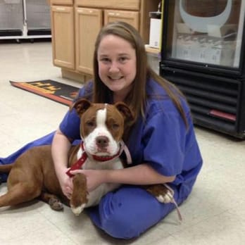 Commonwealth Animal Hospital - Veterinarians Near Me - Midlothian, Virginia