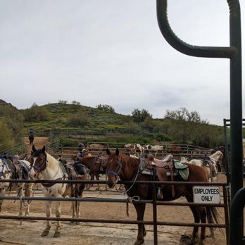 Cave Creek Trail Rides - The corral - Horseback Riding Near Me - Cave Creek, Arizona