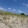 Sandy Point Bird Sanctuary