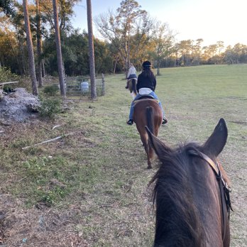 AAA Equestrian - Horseback Riding Near Me - Orlando, Florida